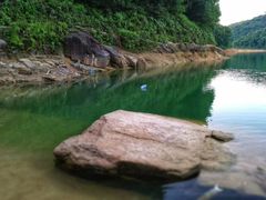 -广州市流溪河国家森林公园