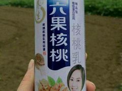 六果核桃-潮惠居饮食店(光塔路店)