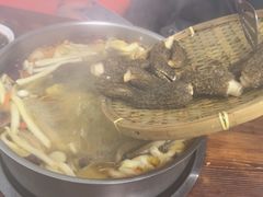 -菌极鲜野生菌火锅店(阳明祠店)