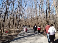 -廊坊市自然公园
