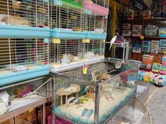 -宠爱我(南山店)