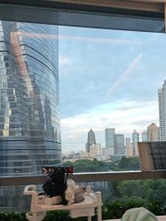 -洁铭新加坡医美