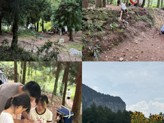 -重庆睡佛山森林公园