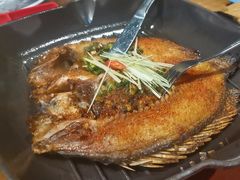 -雀舞云南菜(天津天河城购物中心店)