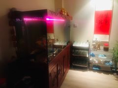 -逸栈养生SPA(望京店)