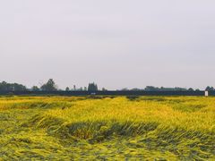 -中国天府农业博览园