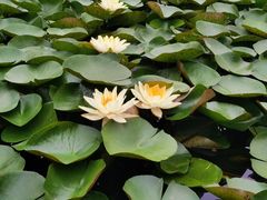 -苏州环秀晓筑养生度假村