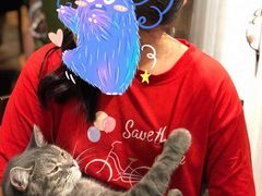 -猫小院猫主题餐厅(三里屯店)