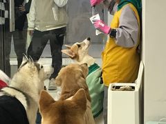 -怪兽屋·羊驼·猫咖·狗咖(俊华广场店)