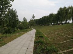 -洨河生态公园