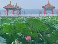 -长春市南湖公园