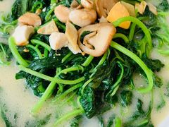 -香港深井掂檔烧鹅茶餐厅(海韵城店)
