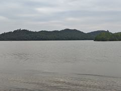 -东湖落雁景区