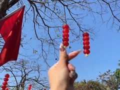 -番禺大夫山森林公园
