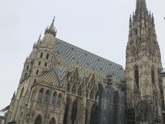 -斯蒂芬主教座堂(Stephansdom)
