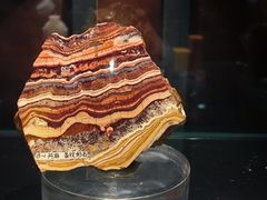 -中国地质博物馆