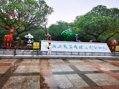 -广东茂名森林公园