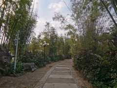 -荔枝公园(福田区)