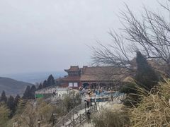 -长沙黑麋峰国家森林公园