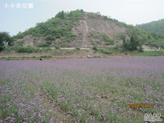 -紫海香堤香草艺术庄园