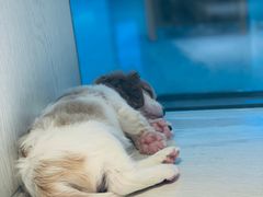 -乐宠宠物店(世纪金源店)