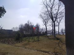 -漕湖湿地公园