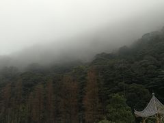 -广州市石门国家森林公园