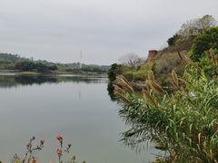 -广东花都湖国家湿地公园