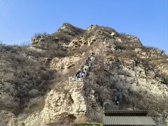 -扶摇树下·椒麻鲜活虾(石家庄勒泰广场店)