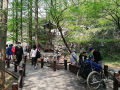 -北京植物园南门售票处