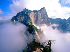 -法门文化景区