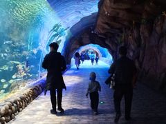 -华夏文旅海洋公园