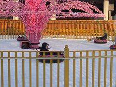 -沈阳奥体冰雪嘉年华