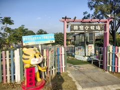 -上海佘山世茂艾美酒店