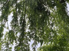 -南北湖风景区