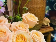 -花二家·生活馆(六运小区店)