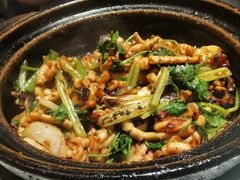 -煲煲好(朝阳门店)