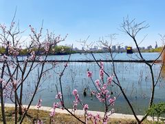 -济南大明湖景区