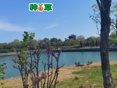 -蓬莱阁景区