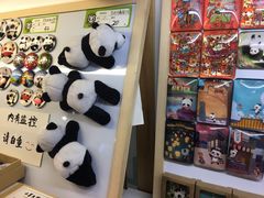 -熊猫邮局(少城店)