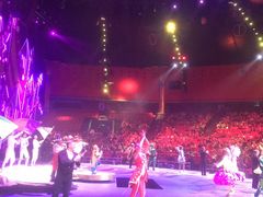 -珠海横琴长隆《卡卡虎奇遇记》