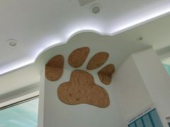 -纳吉亚猫专科动物医院·北北分院