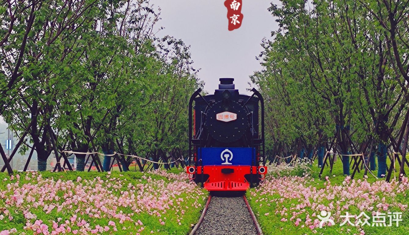 园博园|简单走走的一点点攻略