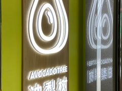 -油梨树AVOCADO TREE(望京店)
