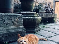 -黎阳老街