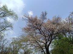 -沈阳植物园