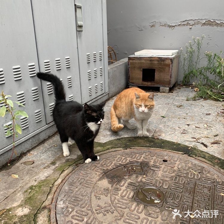 绕绕，挠挠，亲亲的场景在哦我说拍照了！