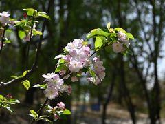 -元大都城垣遗址公园