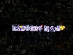 -南京奥林匹克体育中心-体育馆