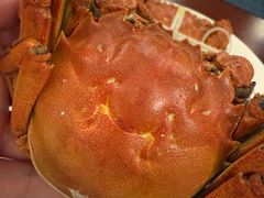 -昆泰嘉华酒店-嘉华咖啡厅